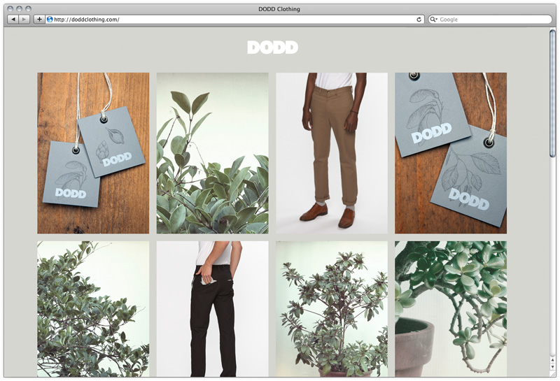 Dodd Clothing website
