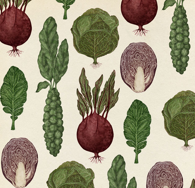 Cabbage Pattern by Katie Scott