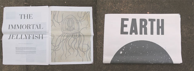 Illustration for Earth Magazine by Katie Scott