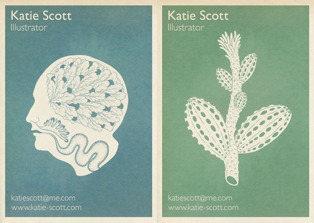 Cabbage Pattern by Katie Scott
