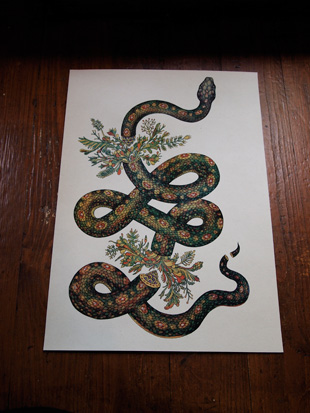 Snake, limited edition print by Katie Scott