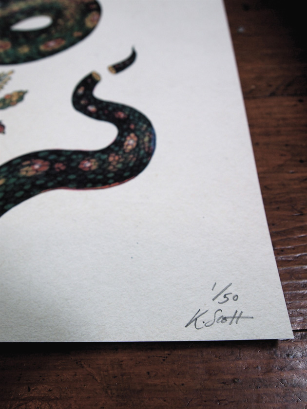 Snake, signed limited edition print by Katie Scott