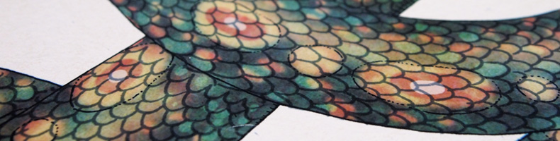 Snake limited edition print by Katie Scott
