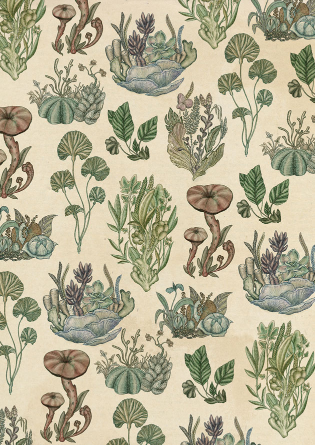 Plant Pattern botanical art by Katie Scott