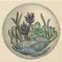 Floating Terrariums