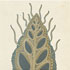Fossils