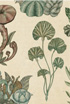 Plant Pattern