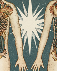 Bombay Bicycle Club – Lights Out Words Gone artwork by Katie Scott