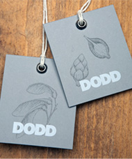 Dodd Clothing illustration by Katie Scott