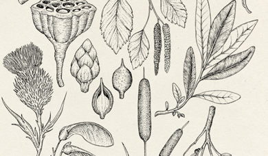 Dodd Clothing branding by Katie Scott