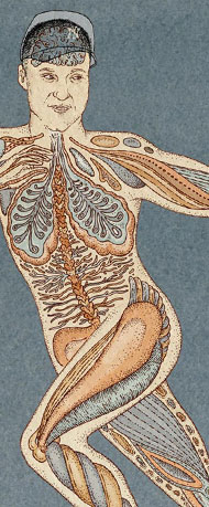 New York Times Derek Jeter baseball - Anatomy illustration by Katie Scott