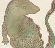 Animals from Jules Verne's Journey to the Centre of the Earth – Katie Scott