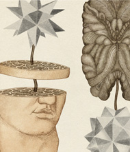 Faces of the Divine illustration by Katie Scott