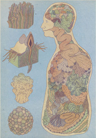 Organs by Katie Scott, fantastical science illustration