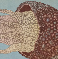 Rocks by Katie Scott, fantastical geology illustration