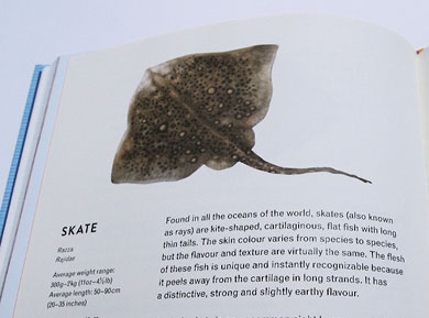 Fish – Receipts of the Sea