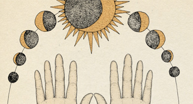 Anatomical illustration by Katie Scott